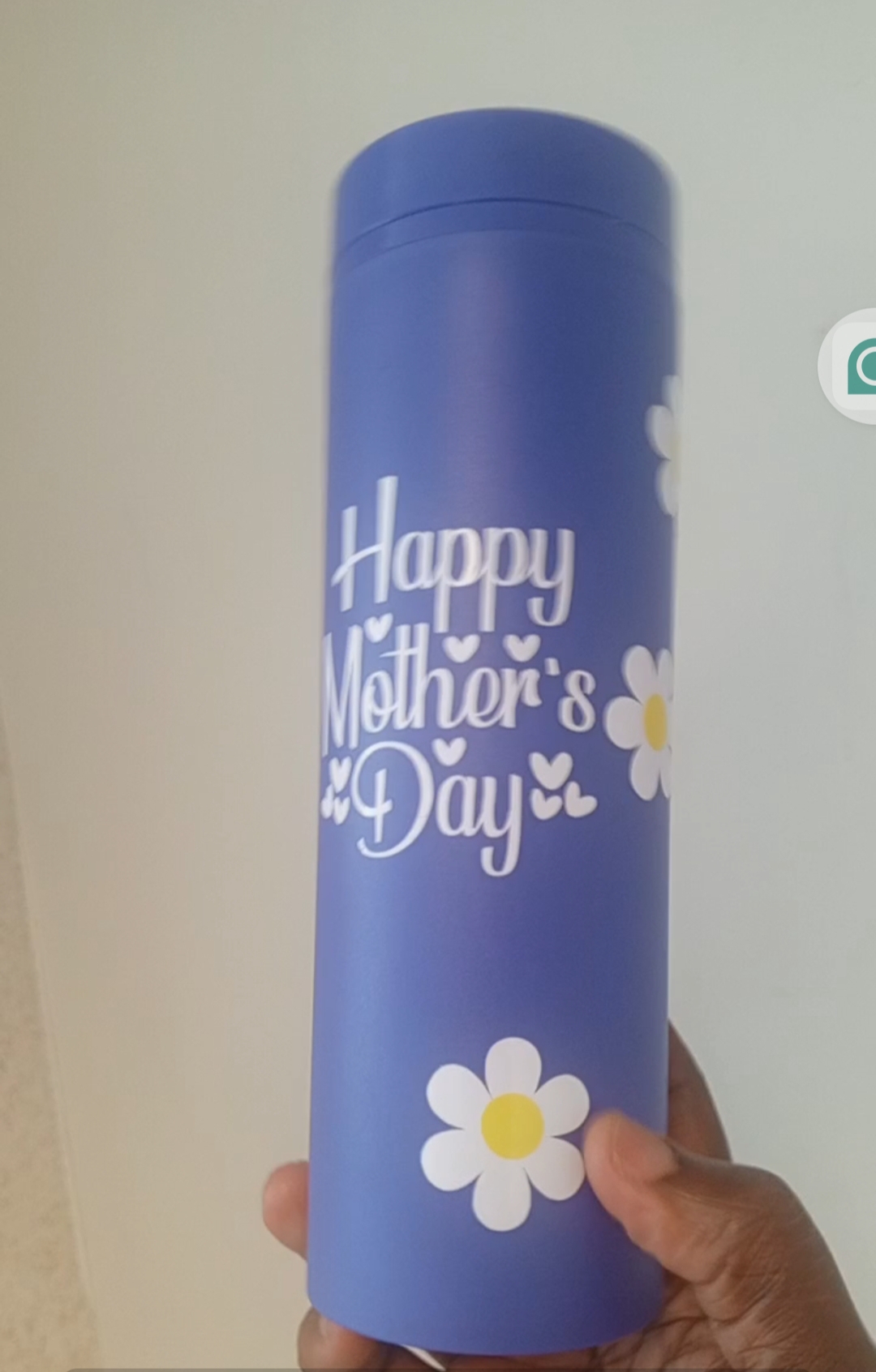Plastic Skinny Tumbler  2
